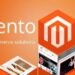 Bring Magical Changes In Your Business With Magento Design