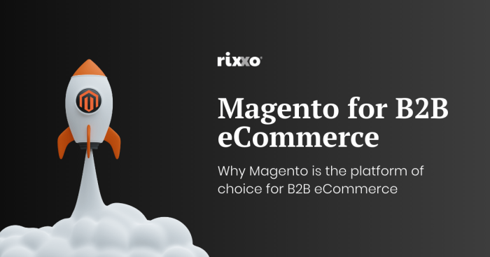 Magento B2B ECommerce: Why It's A Game Changer | Rixxo - B2B ECommerce ...