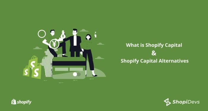 What is Shopify Capital and It's 3 Alternatives in 2025