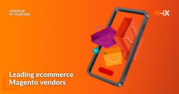 Top 10 Magento ecommerce development companies - N-iX