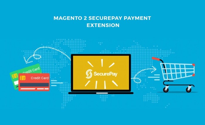 Magento 2 SecurePay Payment Extension | Powerful CCV