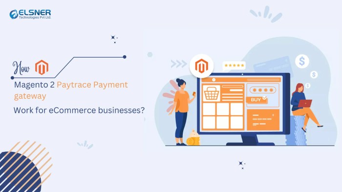 How Magento 2 Paytrace Payment gateway work for ecommerce businesses ...
