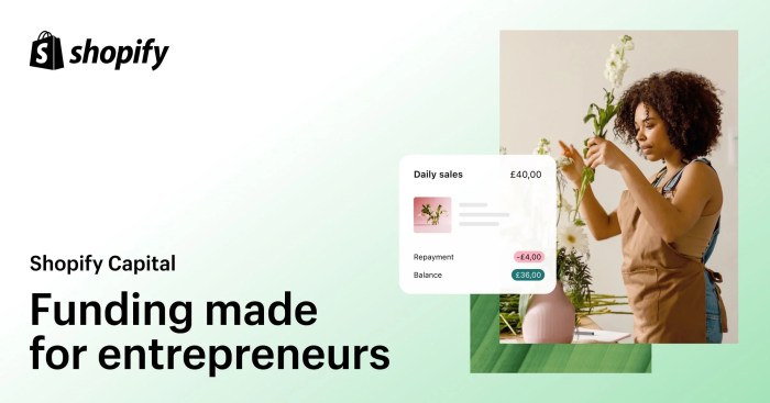 Shopify Capital | Business Funding Made for Entrepreneurs - Shopify UK