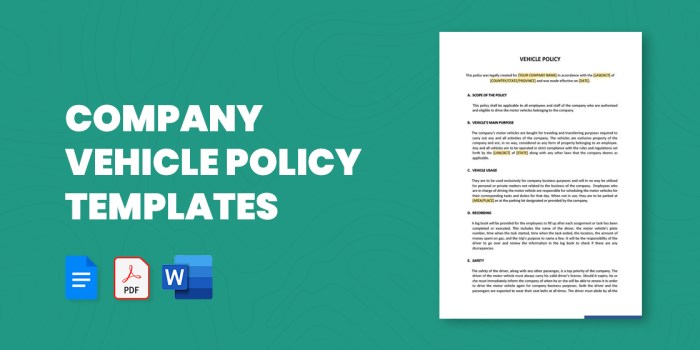 COMPANY VEHICLES POLICY | Monitor Services